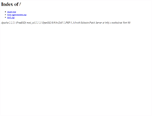 Tablet Screenshot of h4kj.x.rootbsd.net